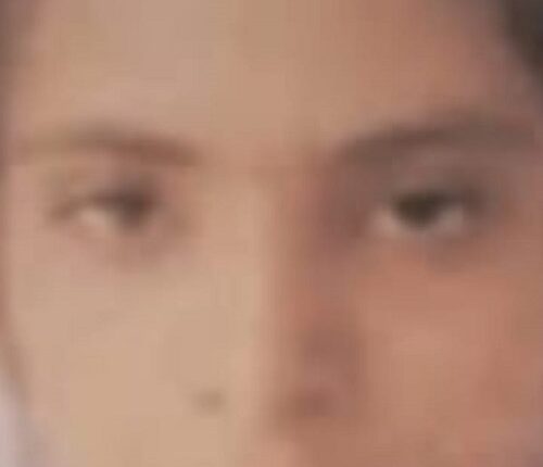 Dumper trampled the student returning home from school