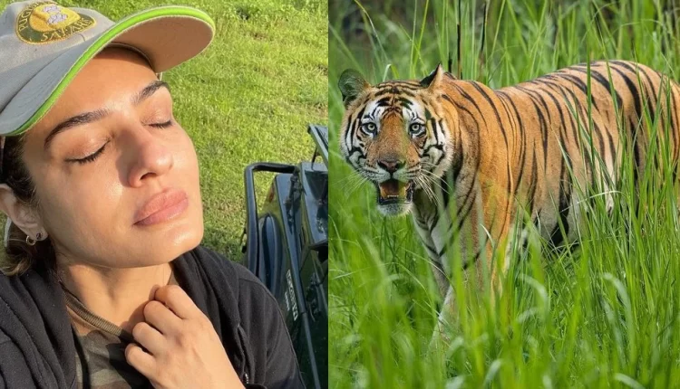 Raveena Tandon got angry after seeing people pelting stones at tiger in Van Vihar