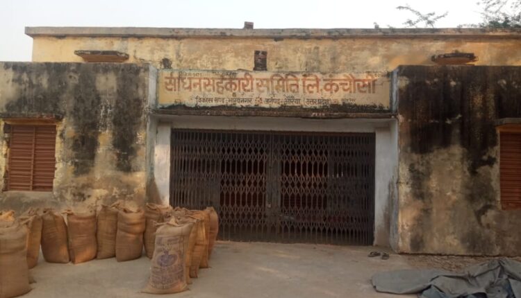 Farmers worried due to shortage of fertilizers in Kanchausi