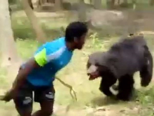 Dreaded bear attacked three people