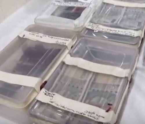 In broad daylight a young man looted Rs 15 lakh from a businessman at gunpoint