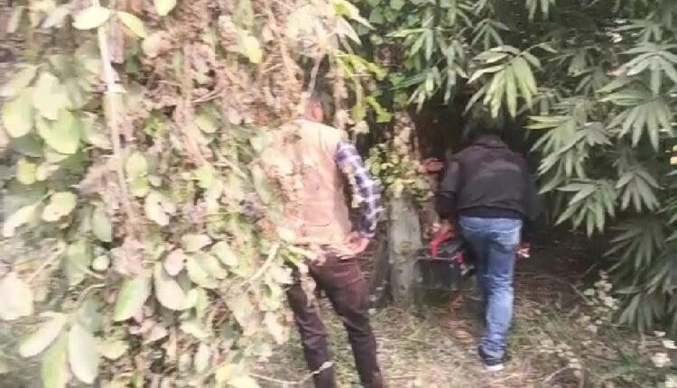 The dead body was thrown into the bush after killing the young man by slitting his throat with a sharp weapon.