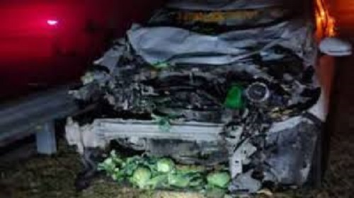 Eight killed as devotees returning from Sabarimala car falls into deep gorge