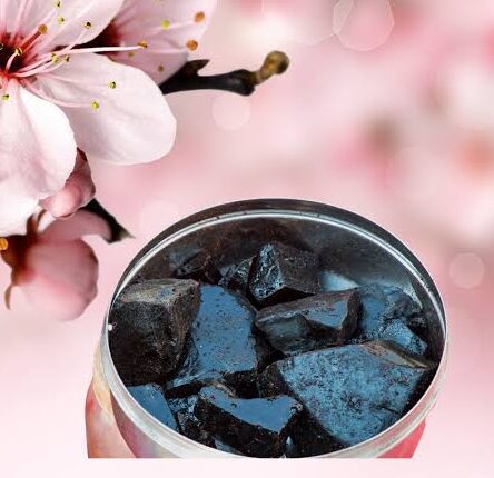 There are many benefits of eating Shilajit, read and know