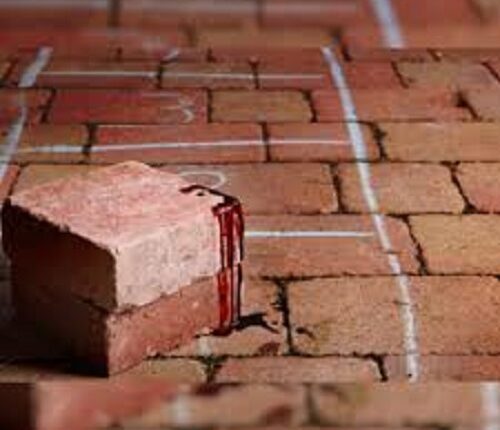 In Shravasti district unknown people entered the house and killed the girl by crushing her with a brick.