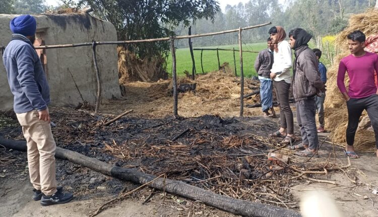 Cow tied inside burnt to death due to unknown reasons