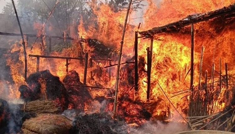 Three brothers' houses burnt due to fierce fire in Rasidpur