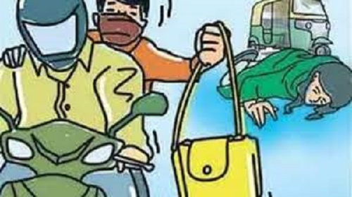 Road miscreants tried to snatch the purse of a woman going with her family the woman fell down and got injured.