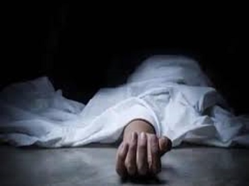 Three hours after the death of a 62-year-old woman due to sudden ill health her son also died.