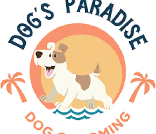 In Aligarh district the city commissioner made a night shelter for the destitute dogs of the street and provided food and drink and blankets and mattresses.