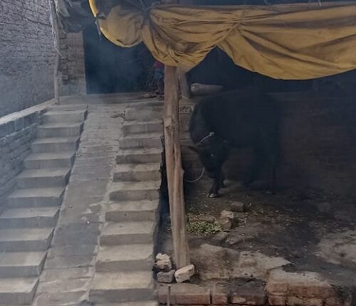 The beneficiary who accused the secretary of taking bribe was exposed the beneficiary turned out to be the owner of four rooms