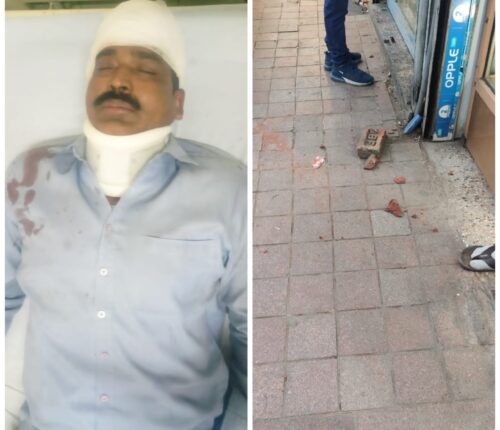 Monkey drops brick on Delhi Police Inspector's head