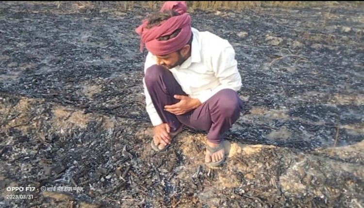 Fire in the field due to high tension line: Wheat crop burnt to ashes