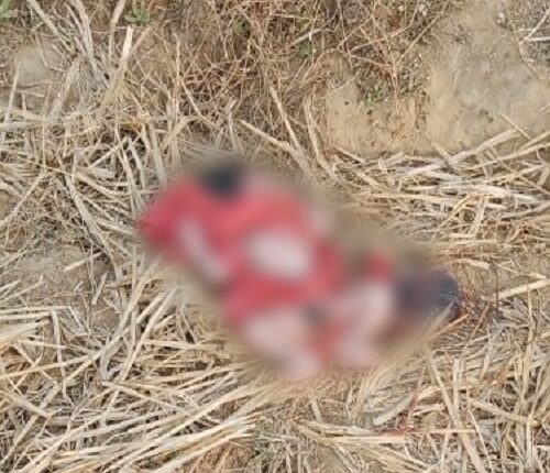 The cruel mother threw the newborn in the garbage heap as soon as it was born