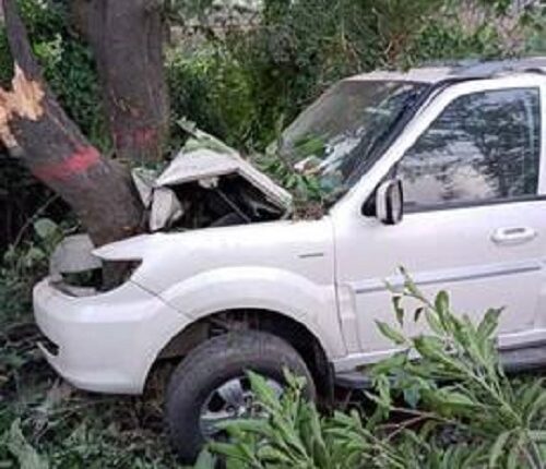 3 killed after uncontrolled vehicle rams into tree as driver dozes off