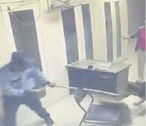 Security personnel accused of kidnapping and beating society's dog