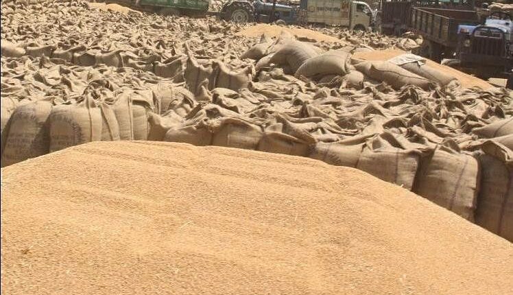 Wheat procurement will start from April 1 at 42 purchasing centers in Agra