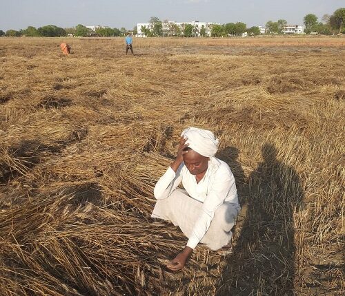 Farmers got maximum compensation amount - Suchendra Jaiswal