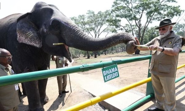 PM visits Bandipur and Mudumlal Tiger Reserve