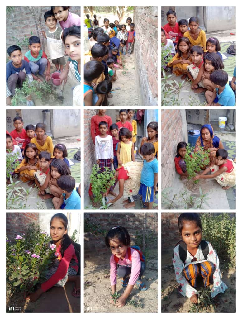 Make the environment happy, definitely plant a tree: Engineer Sanjay Kumar