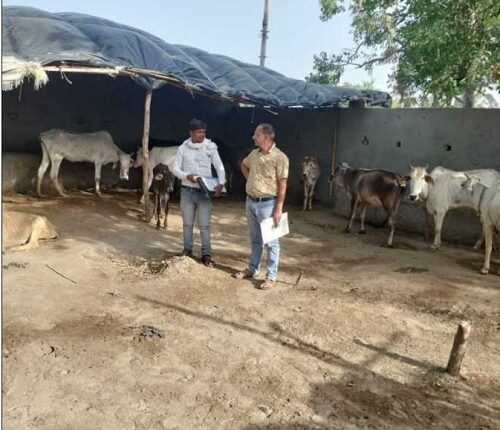 Inspection of Gaushalas - Sahaswan