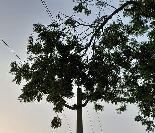 The power supply of the villages was interrupted for hours due to the storm