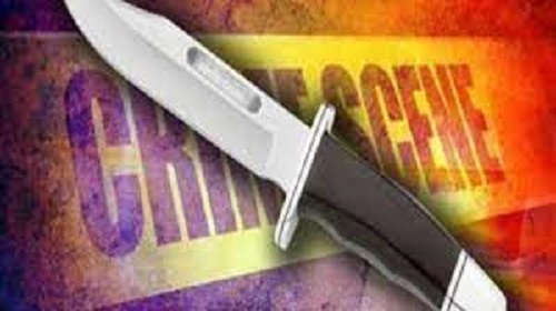 The young man killed his sister with a sharp weapon and beheaded