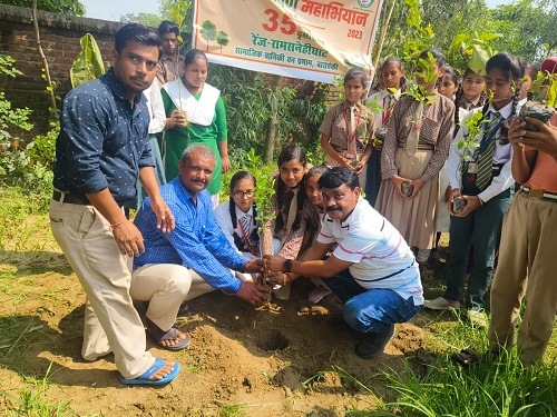 Plantation done under the massive plantation campaign