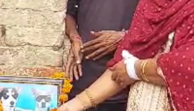 Innocent dog dies at the age of 12 Havan organized for the peace of the soul