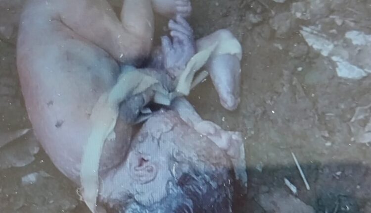 Dead body of a newborn baby found in the garbage heap in front of Gonard Hotel