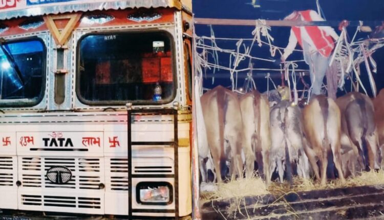 Giridih Police is leading in action against cyber crime as well as animal trafficking.