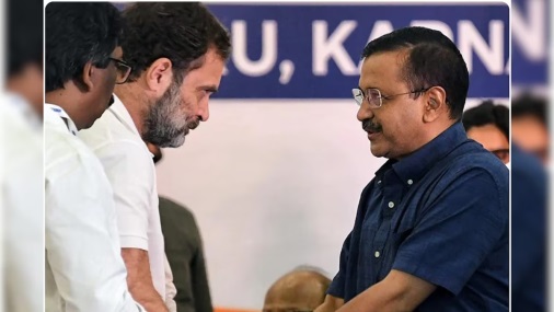 Ora ana bedane antarane Kongres, AAP, loro kursi Lok Sabha ing Goa bakal ditandingi aliansi: Palekar