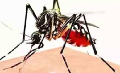 Delhi Mayor is not serious about eradication of dengue and malaria as well as about cleanliness: Praveen Shankar Kapoor