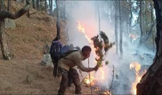 Landmines explode due to forest fire along LoC in Poonch, no casualties