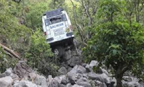 Five killed, one injured as SUV falls into gorge in Jammu and Kashmir's Ramban